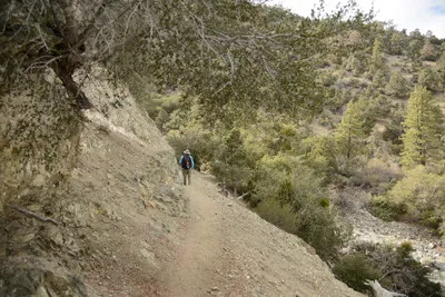 DSC_6296 (Large).JPG